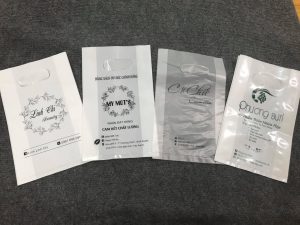 In Túi PE Theo Yêu Cầu